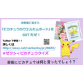 （C）Nintendo･Creatures･GAME FREAK･TV Tokyo･ShoPro･JR Kikaku （C）Pokemon （C）2017 ピカチュウプロジェクト