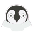 京都にとけこむ癒しのペンギンショート「おこしやす、ちとせちゃん」がアニメ化!