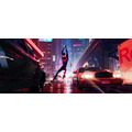 『スパイダーマン：スパイダーバース』