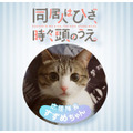 応援隊長「猫のすずめちゃん」(C)みなつき・二ツ家あす・COMICポラリス/ひざうえ製作委員会