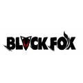 『BLACKFOX』ロゴ（C）PROJECT BLACKFOX