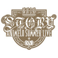 「Animelo Summer Live 2019 -STORY-」（c）Animelo Summer Live 2019