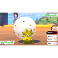 『ポケモン ソード・シールド』伝説含む新ポケモンや登場キャラ達がお披露目！新要素「ダイマックス」でバトルもより刺激的に進化【Directまとめ】