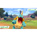 『ポケモン ソード・シールド』伝説含む新ポケモンや登場キャラ達がお披露目！新要素「ダイマックス」でバトルもより刺激的に進化【Directまとめ】