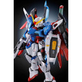 「RG 1/144 デスティニーガンダム［チタニウムフィニッシュ］」7,150円（税込）（C）創通・サンライズ