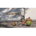 『Acorns』