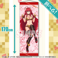 S賞：選べる特大タペストリー（全2種）1回770円（税込）（C）石踏一榮・みやま零／株式会社KADOKAWA刊／ハイスクールＤ×Ｄ HERO製作委員会