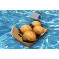 謎だらけバーガー／『謎だらけの孤島からの脱出』イベント情報