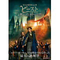 (C) 2021 Warner Bros. Ent. All Rights Reserved. Harry Potter and Fantastic Beasts Publishing Rights (C)J.K.R.