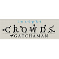 「GATCHAMAN CROWDS insight」（C）タツノコプロ / ガッチャマンクラウズインサイト製作委員会