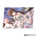 「シノビマスター 閃乱カグラ NEW LINK ビジュアルアクリルプレート」各3,300円（税込）（C）Marvelous Inc.（C）HONEY PARADE GAMES Inc.