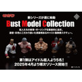 『Bust Model Collection』