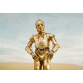 『スター・ウォーズ　エピソード4／新たなる希望』C-3PO　（C）& TM Lucasfilm Ltd. All rights reserved.