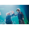 「騎士X - Knight X - 1st ONE MAN LIVE 2025 in 日本武道館」ライブ写真