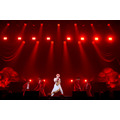 『言ノ葉ワンダーランド LIVE in 日本武道館』ライブ写真