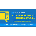アニメ「スパイファミリー」の配信はどこで見れる？無料視聴できるサービス・サブスクを紹介！