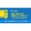 風立ちぬ 配信情報
