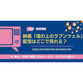 塔の上のラプンツェル 配信情報