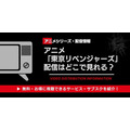 アニメ「東京リベンジャーズ」配信情報