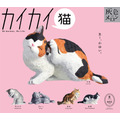 猫の日は猫三昧♪ サバトラや三毛猫、カイカイしてる姿が癒やし~♪ カプセルトイが新登場
