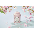 紅茶缶(さくらティー)