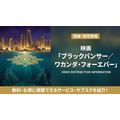 ブラックパンサー／ワカンダ・フォーエバーの配信情報まとめ