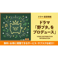 野ブタをプロデュース 配信