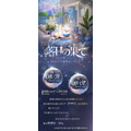 【2025年】レイ誕生日イベント「落日の果て」開催