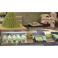抹茶スイーツ処 茶和々(さわわ) 嵐山店