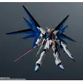 「ZGMF-X10A FREEDOM GUNDAM RENEWAL」