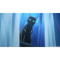 夏アニメ『BLACK TORCH』#01(第1話)「未来は俺等の手の中」先行カット