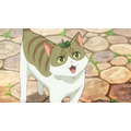 夏アニメ『猫と竜』第1話「猫と竜」先行カット