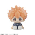 ぬいっぽ ハイキュー!! 6個入りBOX(日向翔陽)