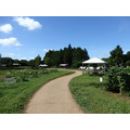農園リゾート THE FARM