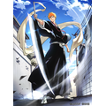 BLEACH Mirrors High