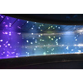夜間限定営業 サンシャイン水族館×超かぐや姫！ ツクヨミアクアリウム