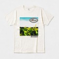 オーガニックコットンTシャツ