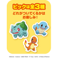 31ポケ夏
