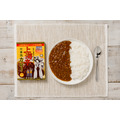 「機動警察パトレイバーEZY 上海亭中華風カレー」