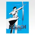 「一番くじ BLEACH Stirring Souls vol.5」G賞：クリアポスター（選べる全10種）