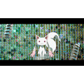『劇場版 魔法少女まどか☆マギカ〈ワルプルギスの廻天〉』