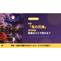 鬼の花嫁 実写 配信