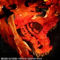 Portrait.Of.Pirates ワンピース “NEO-MAXIMUM” ポートガス・D・エース 15th LIMITED Ver.