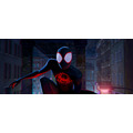 『スパイダーマン：アクロス・ザ・スパイダーバース』（C）2023 CTMG. （C） & TM 2023 MARVEL. All Rights Reserved.
