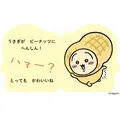 『へんしん！　うさぎ』