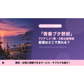 青ブタ 配信