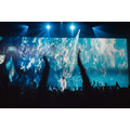 「KENSHI YONEZU 2025 WORLD TOUR / JUNK」