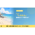 しろたん 配信