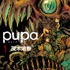 「pupa」(C)茂木清香 / アース・スター エンターテイメント / 「pupa」製作委員会