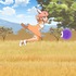 TVアニメ『けものフレンズ2』PVカット